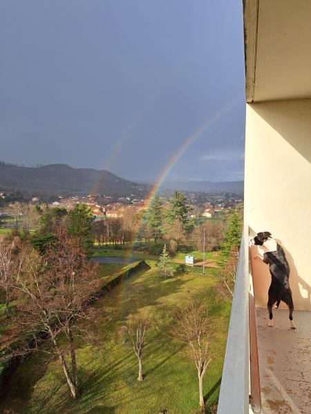 Foto dell'alloggio