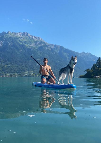Foto dell'alloggio