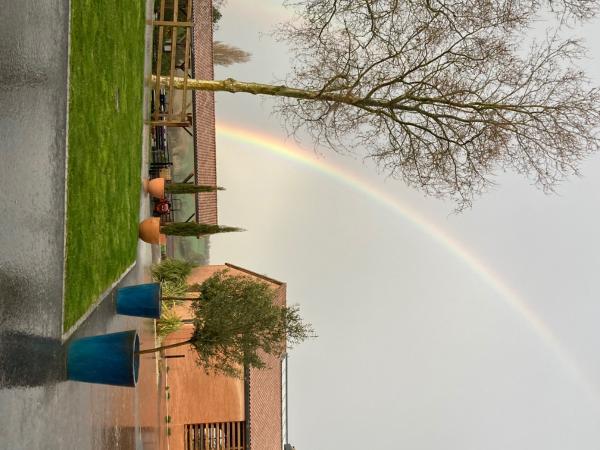 Foto dell'alloggio