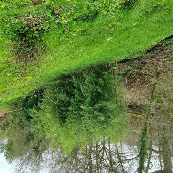 Foto dell'alloggio