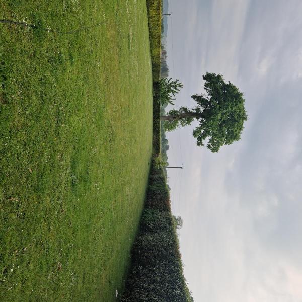 Foto dell'alloggio