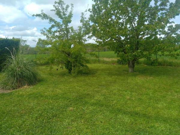 Foto dell'alloggio