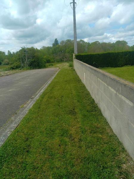 Foto dell'alloggio