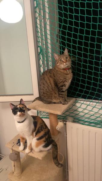 Foto dell'alloggio