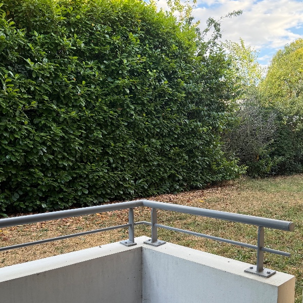 Foto dell'alloggio