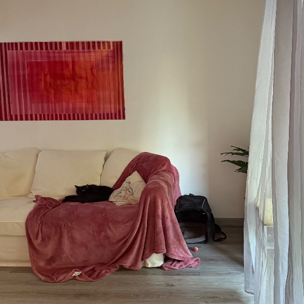 Foto dell'alloggio