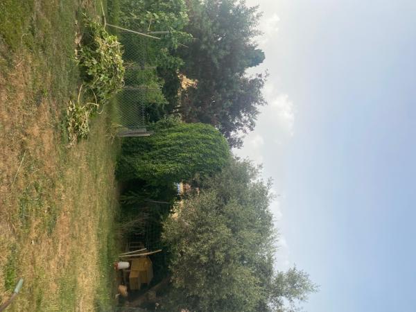 Foto dell'alloggio