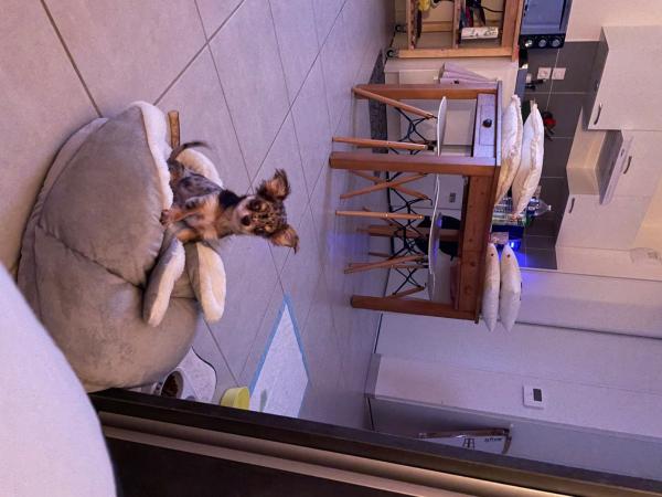 Foto dell'alloggio