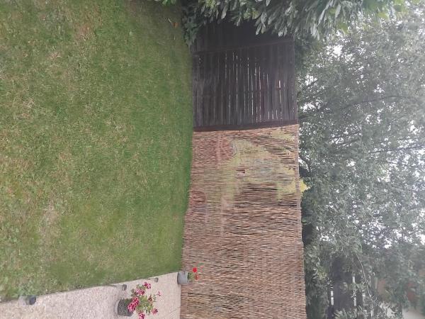 Foto dell'alloggio