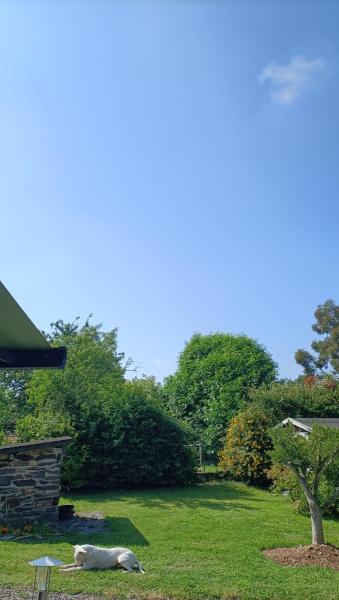 Foto dell'alloggio