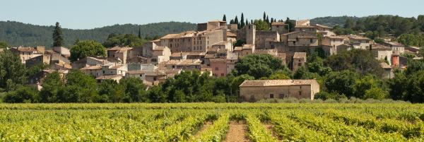 Foto dell'alloggio