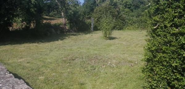 Foto dell'alloggio