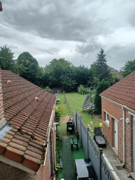 Foto dell'alloggio