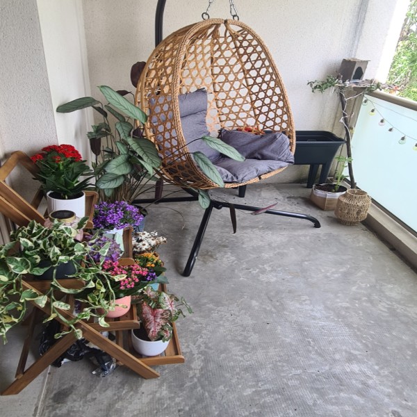 Foto dell'alloggio