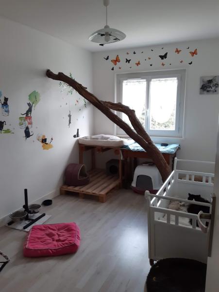 Foto dell'alloggio