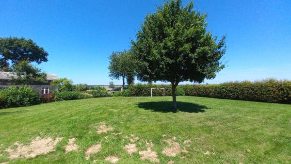 Foto dell'alloggio