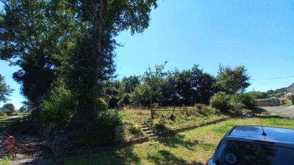 Foto dell'alloggio