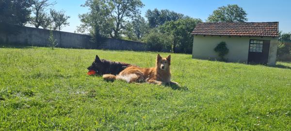 Foto dell'alloggio