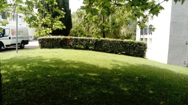 Foto dell'alloggio