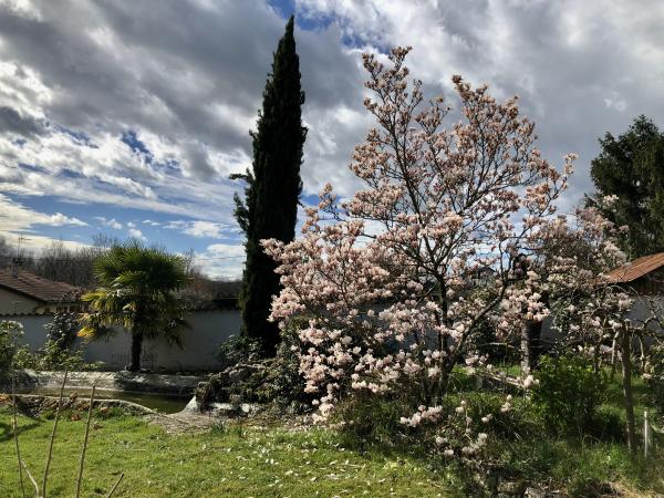 Foto dell'alloggio