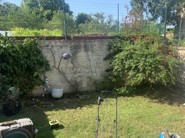 Foto dell'alloggio