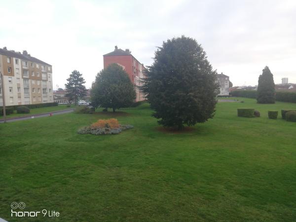 Foto dell'alloggio
