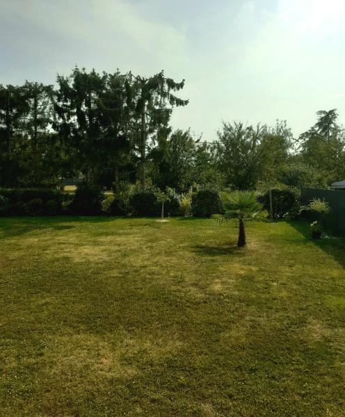 Foto dell'alloggio