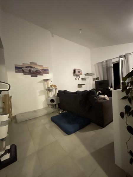 Foto dell'alloggio