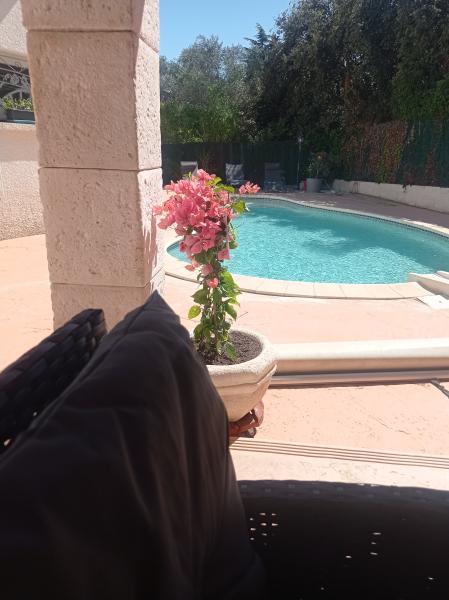 Foto dell'alloggio