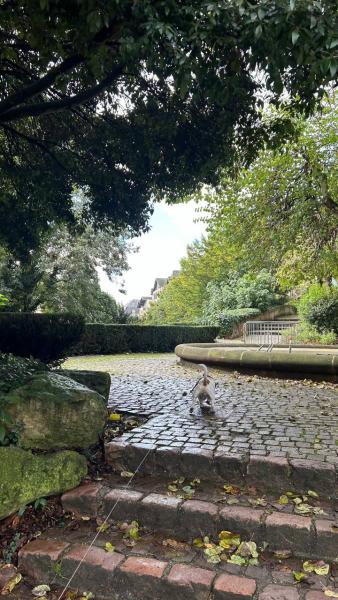 Foto dell'alloggio