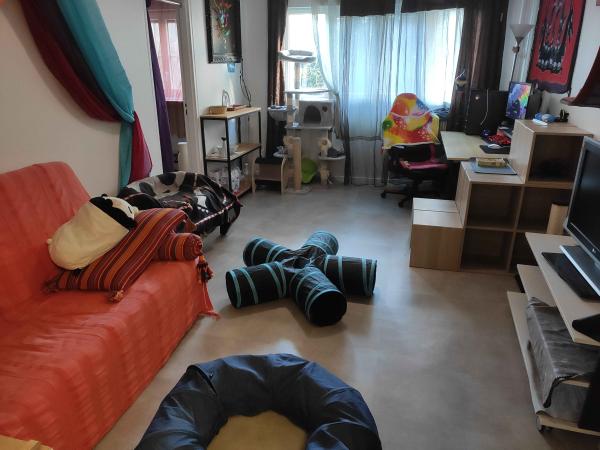 Foto dell'alloggio