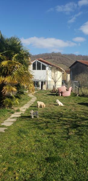 Foto dell'alloggio