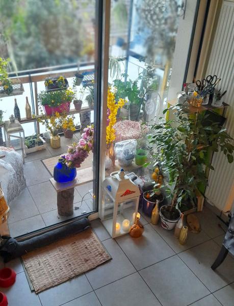 Foto dell'alloggio