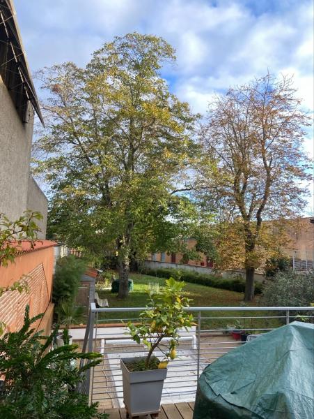Foto dell'alloggio