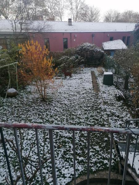 Foto dell'alloggio