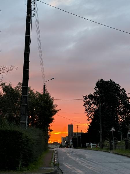 Foto dell'alloggio