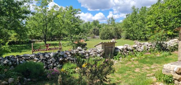 Foto dell'alloggio