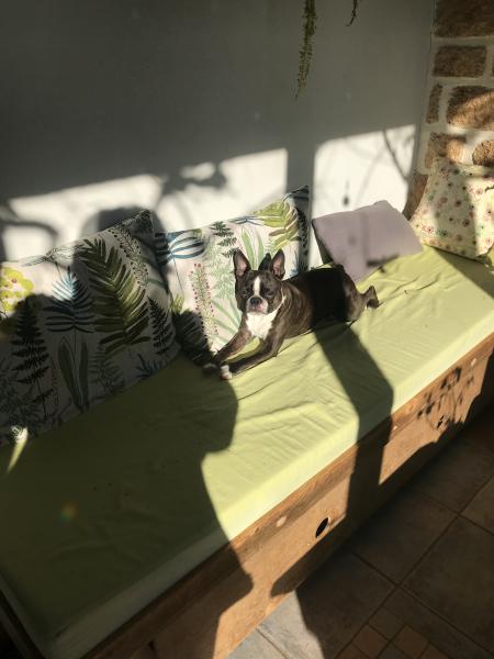 Foto dell'alloggio