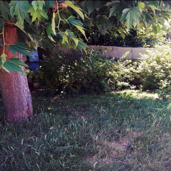 Foto dell'alloggio