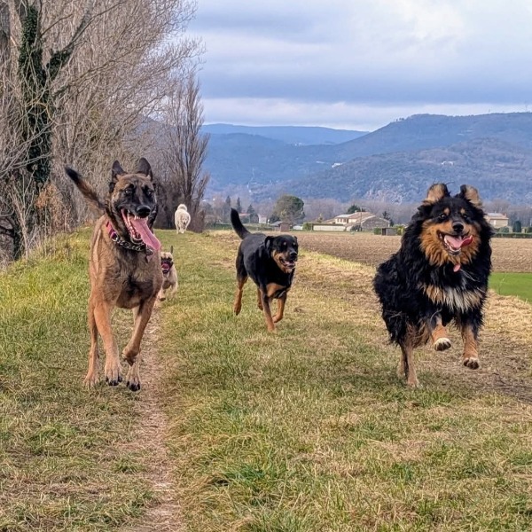 Foto dell'alloggio