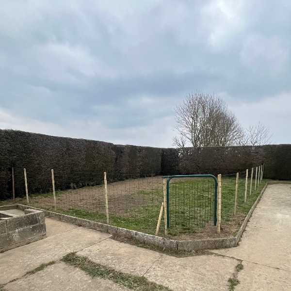 Foto dell'alloggio