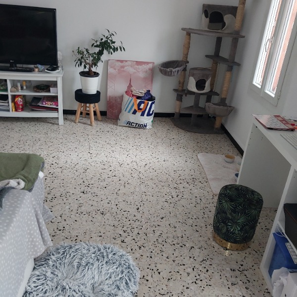 Foto dell'alloggio