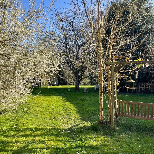 Foto dell'alloggio
