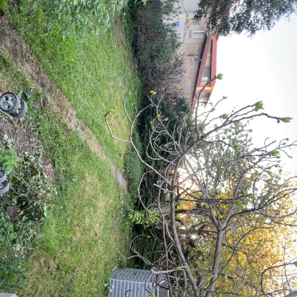 Foto dell'alloggio