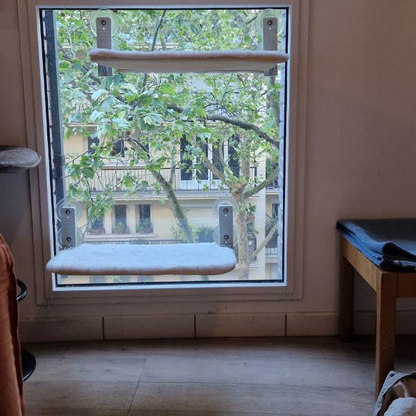 Foto dell'alloggio
