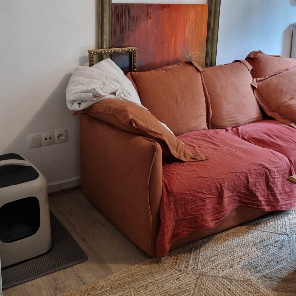 Foto dell'alloggio