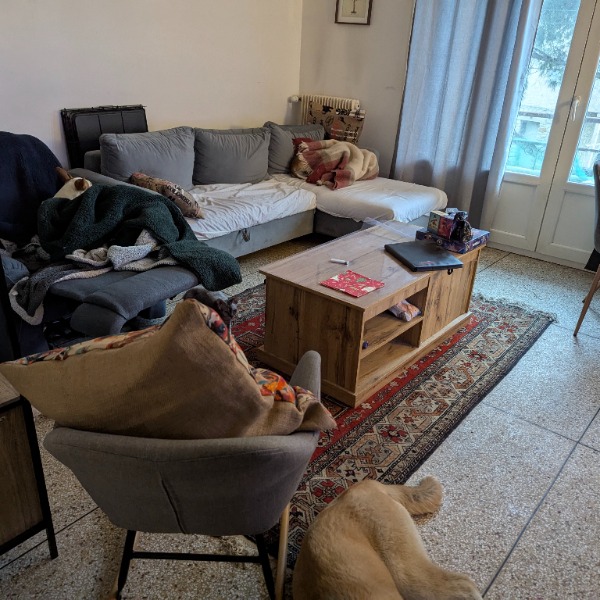 Foto dell'alloggio