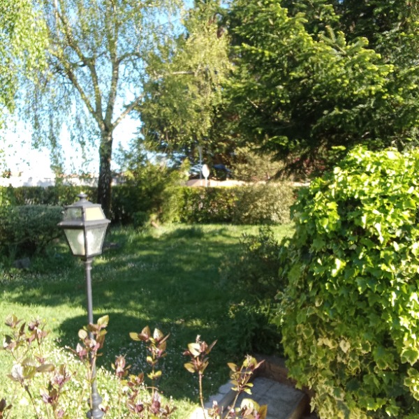 Foto dell'alloggio
