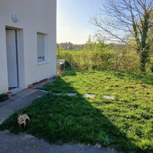 Foto dell'alloggio