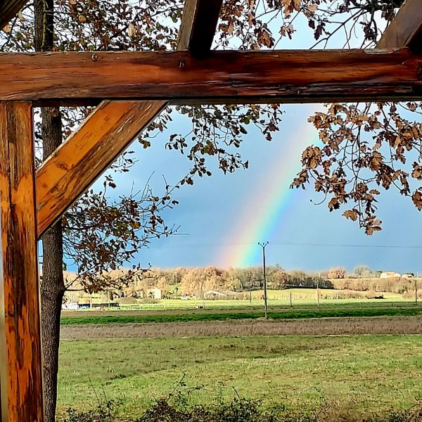 Foto dell'alloggio